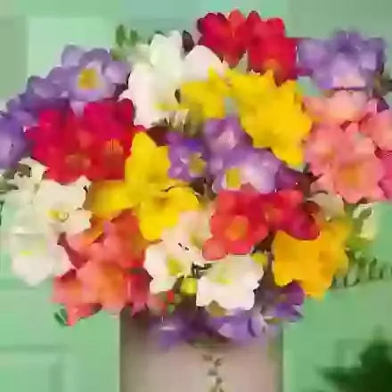 Single Mixture